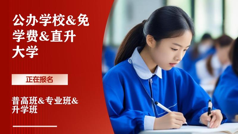 资阳雁江区区职高